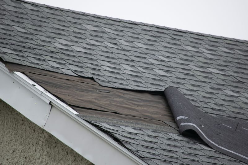 Professional Asphalt Shingle Repair